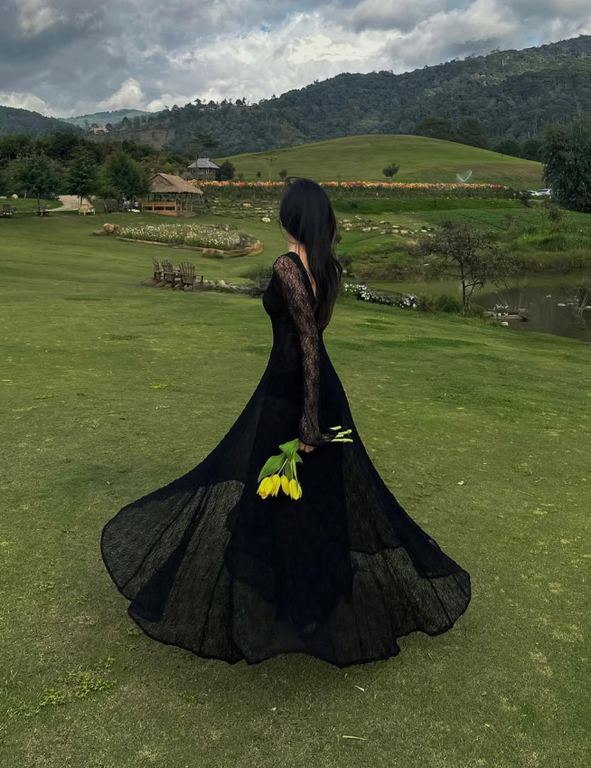 Black Lace Sexy A Line Long Sleeve Evening Dress Prom Dresses Formal Gown